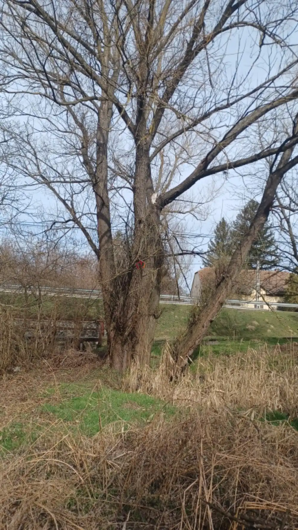 Zala megye - Pusztaszentlászló