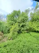 Zala megye - Pusztaszentlászló