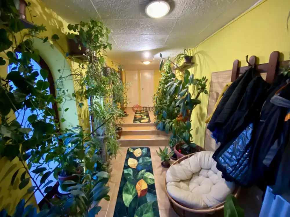 Pest megye - Ráckeve