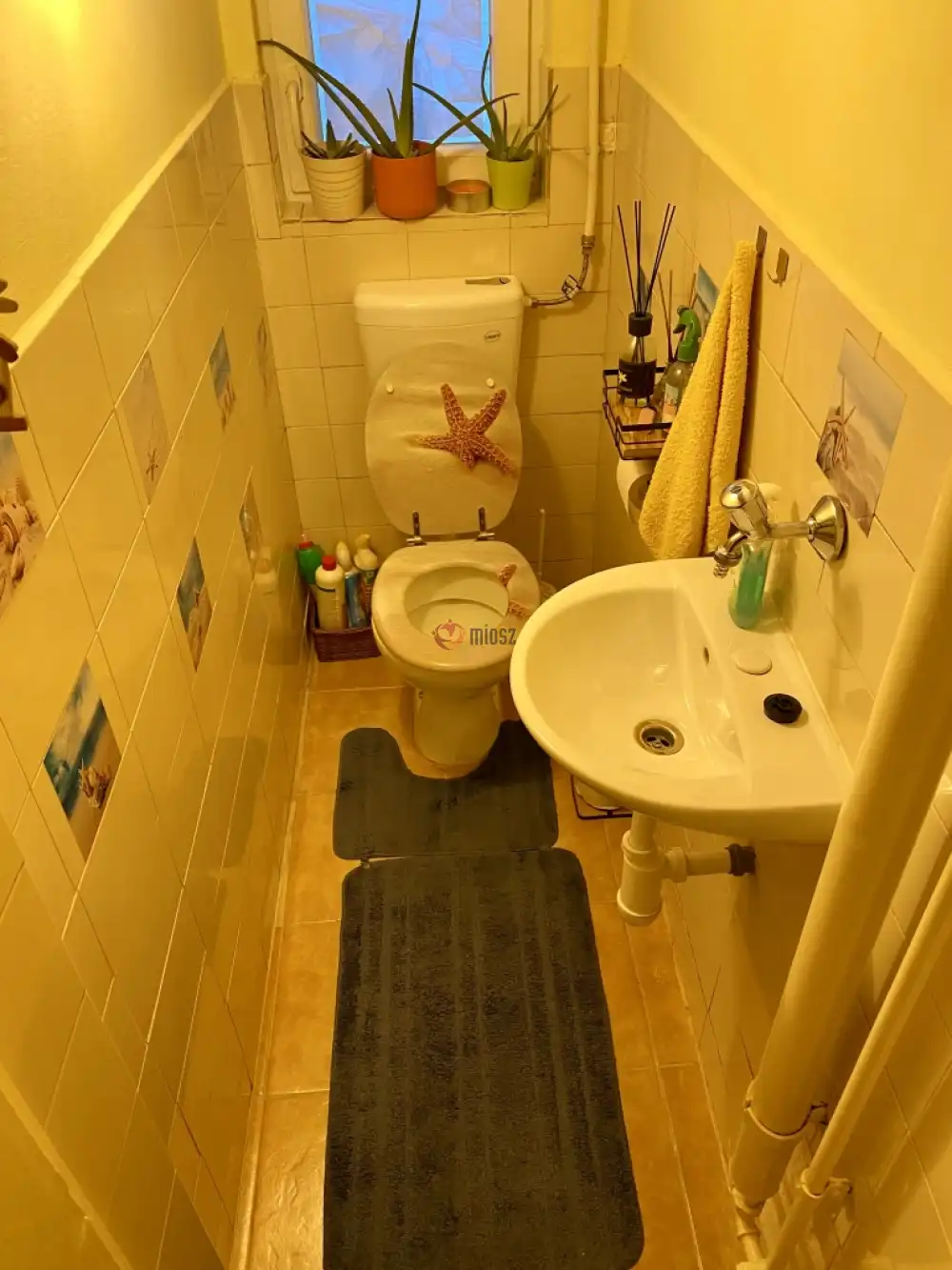 Pest megye - Ráckeve