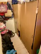 Pest megye - Ráckeve