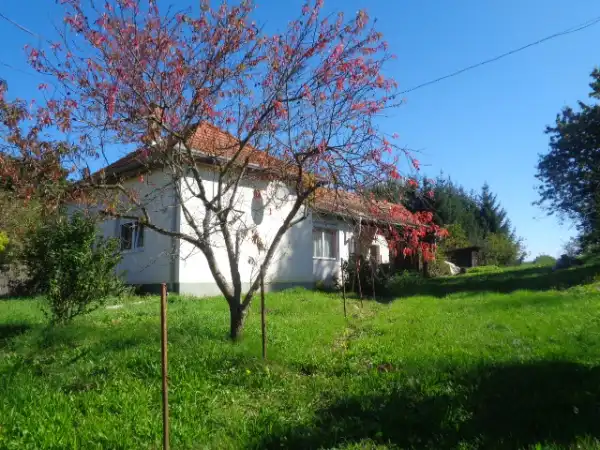 Eladó családi ház, Sárfimizdó 2+1 szoba 64 m² 22.9 M Ft Eladó családi ház, Sárfimizdó 2+1 szoba 64 m² 22.9 M Ft