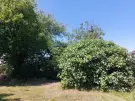 Somogy megye - Siófok