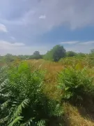 Bács-Kiskun megye - Sükösd