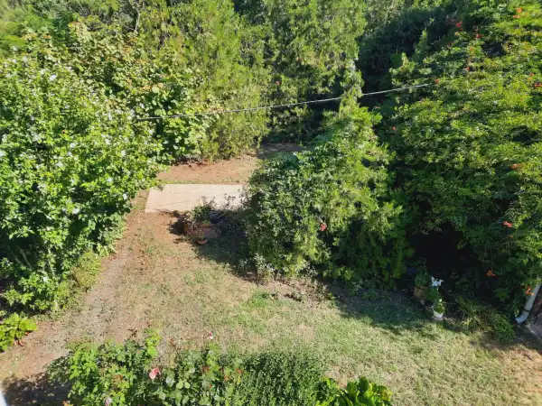 Eladó családi ház, Szabadkígyós 4 szoba 170 m² 43.5 M Ft