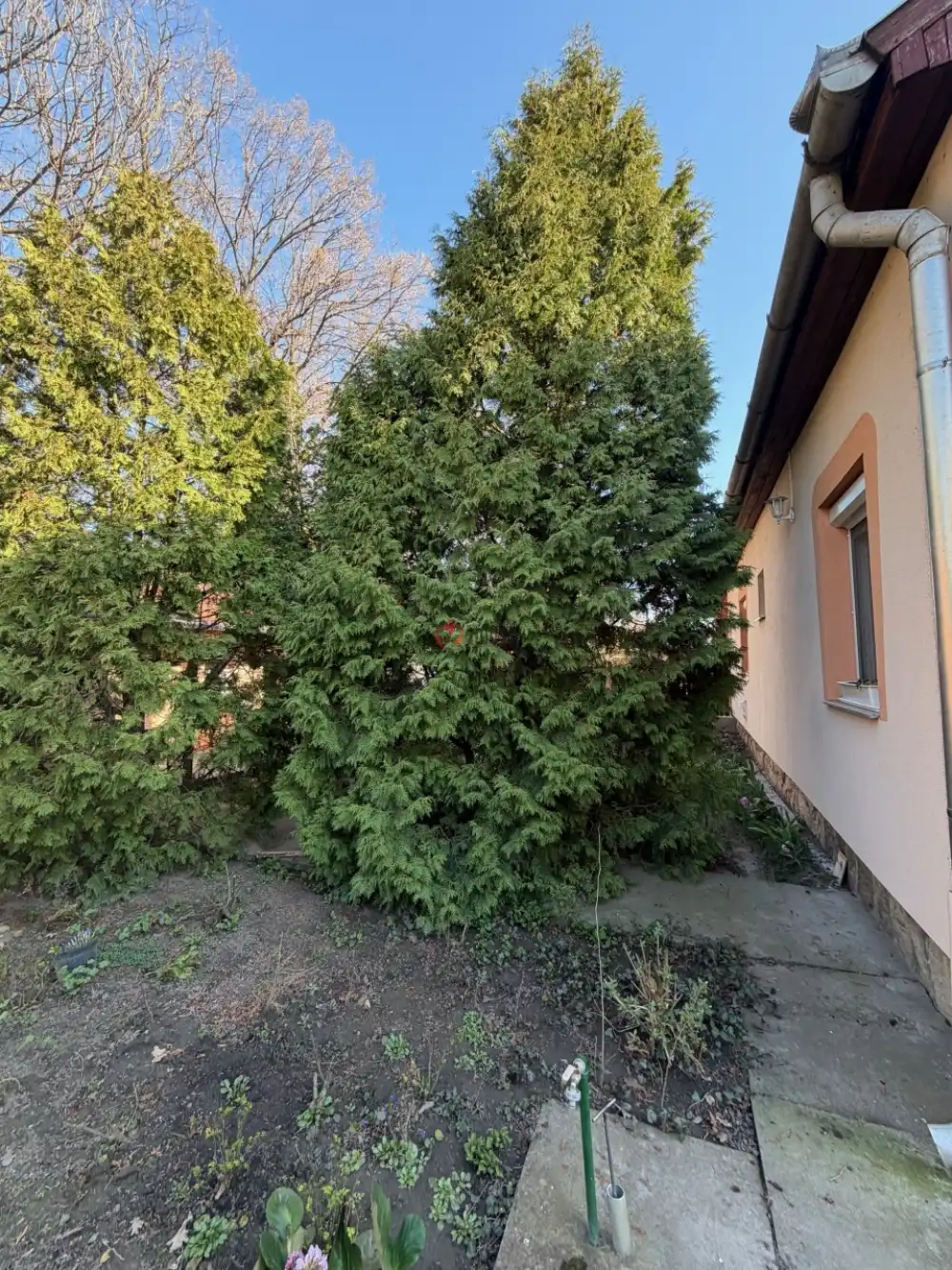 Csongrád megye - Szeged