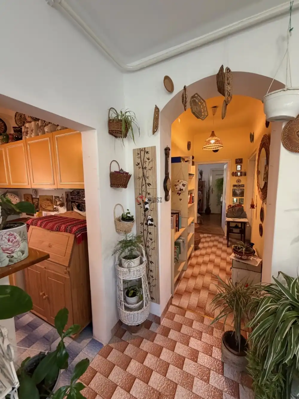 Csongrád megye - Szeged