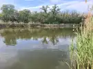 Pest megye - Taksony
