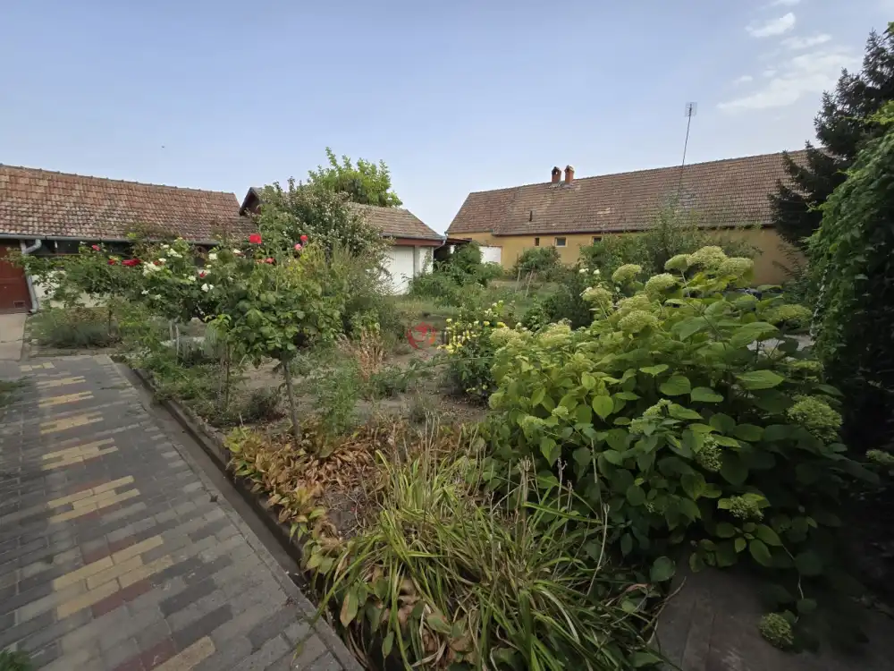 Bács-Kiskun megye - Tataháza