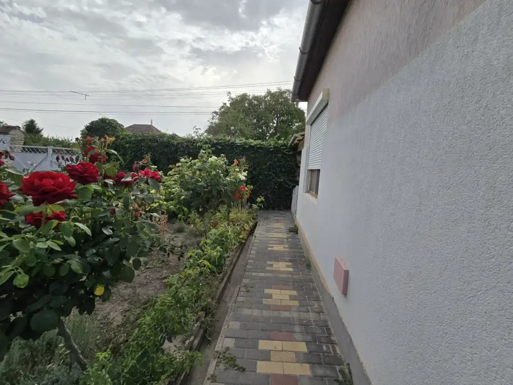 Bács-Kiskun megye - Tataháza