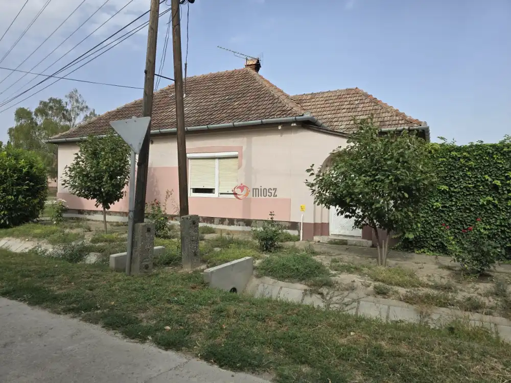 Bács-Kiskun megye - Tataháza