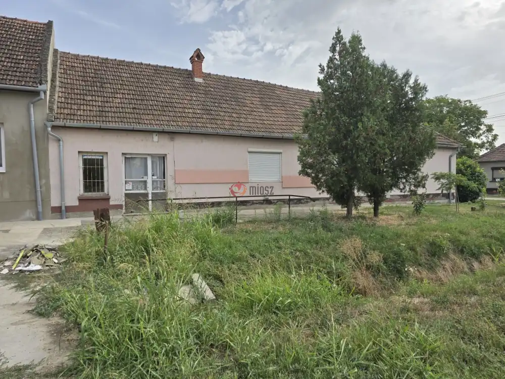 Bács-Kiskun megye - Tataháza