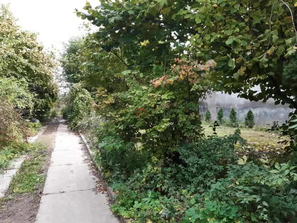 Bács-Kiskun megye - Vaskút