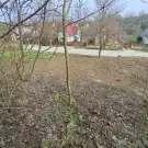 Veszprém megye - Balatonkenese