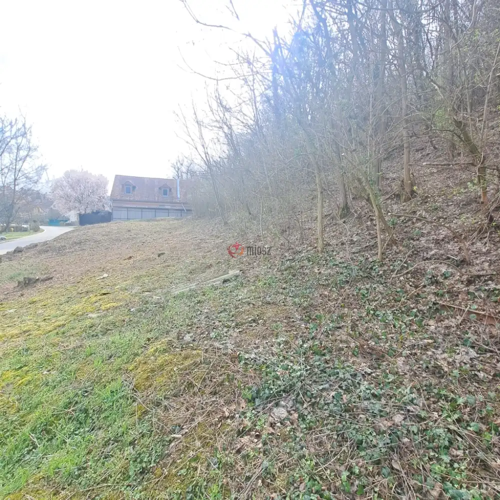 Veszprém megye - Balatonkenese