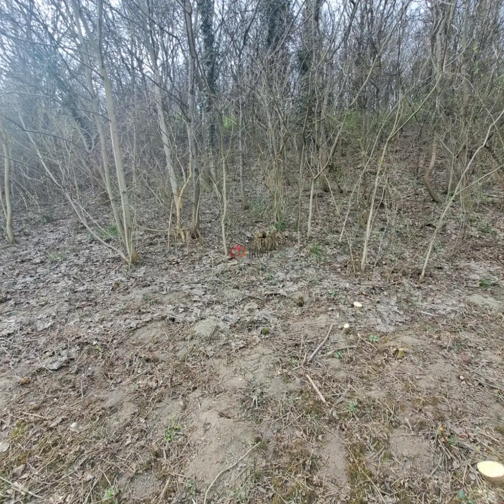 Veszprém megye - Balatonkenese