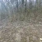 Veszprém megye - Balatonkenese