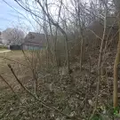 Veszprém megye - Balatonkenese