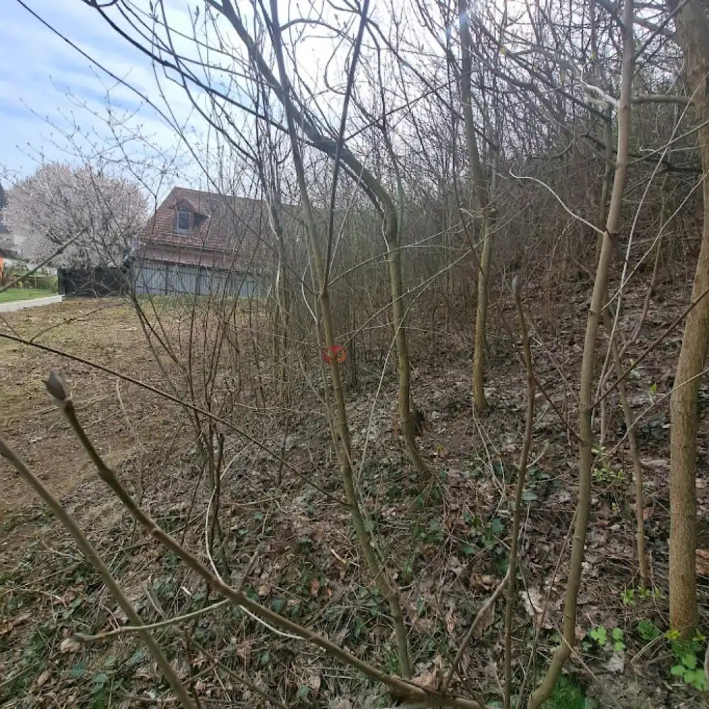 Veszprém megye - Balatonkenese