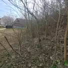 Veszprém megye - Balatonkenese