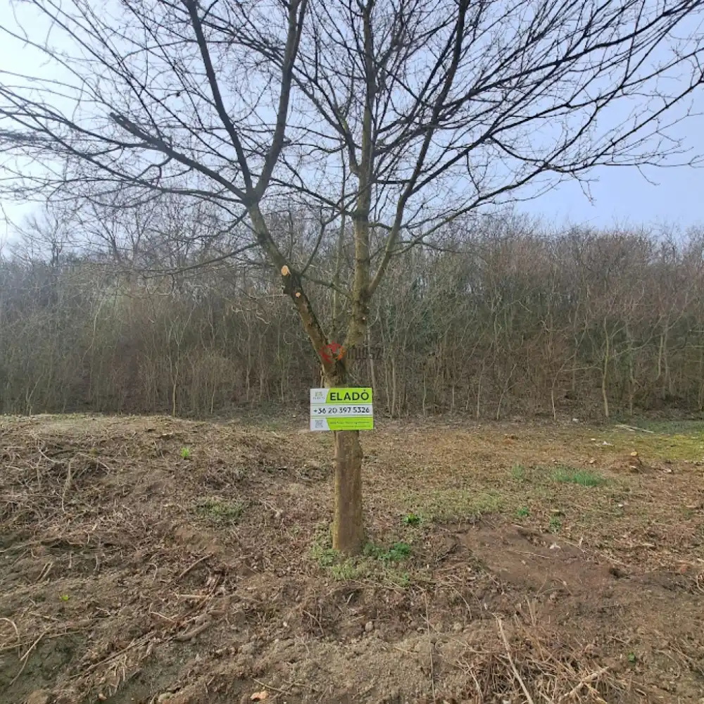 Veszprém megye - Balatonkenese