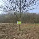 Veszprém megye - Balatonkenese