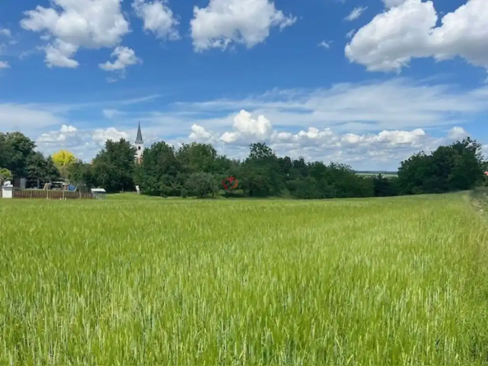 Zala megye - Boncodfölde