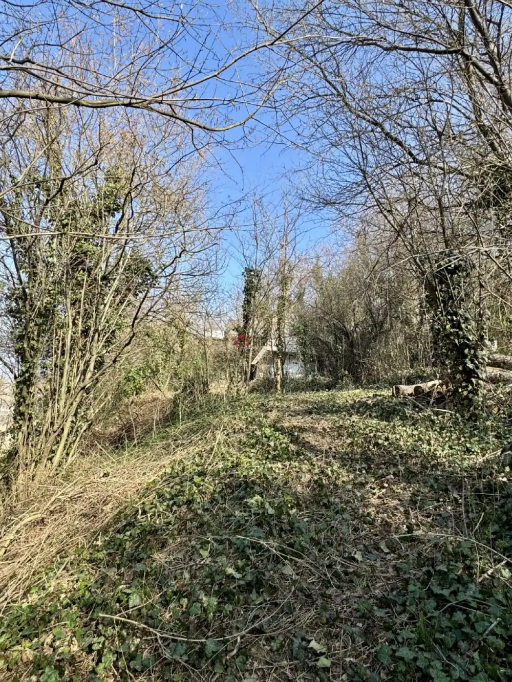 Pest megye - Budaörs