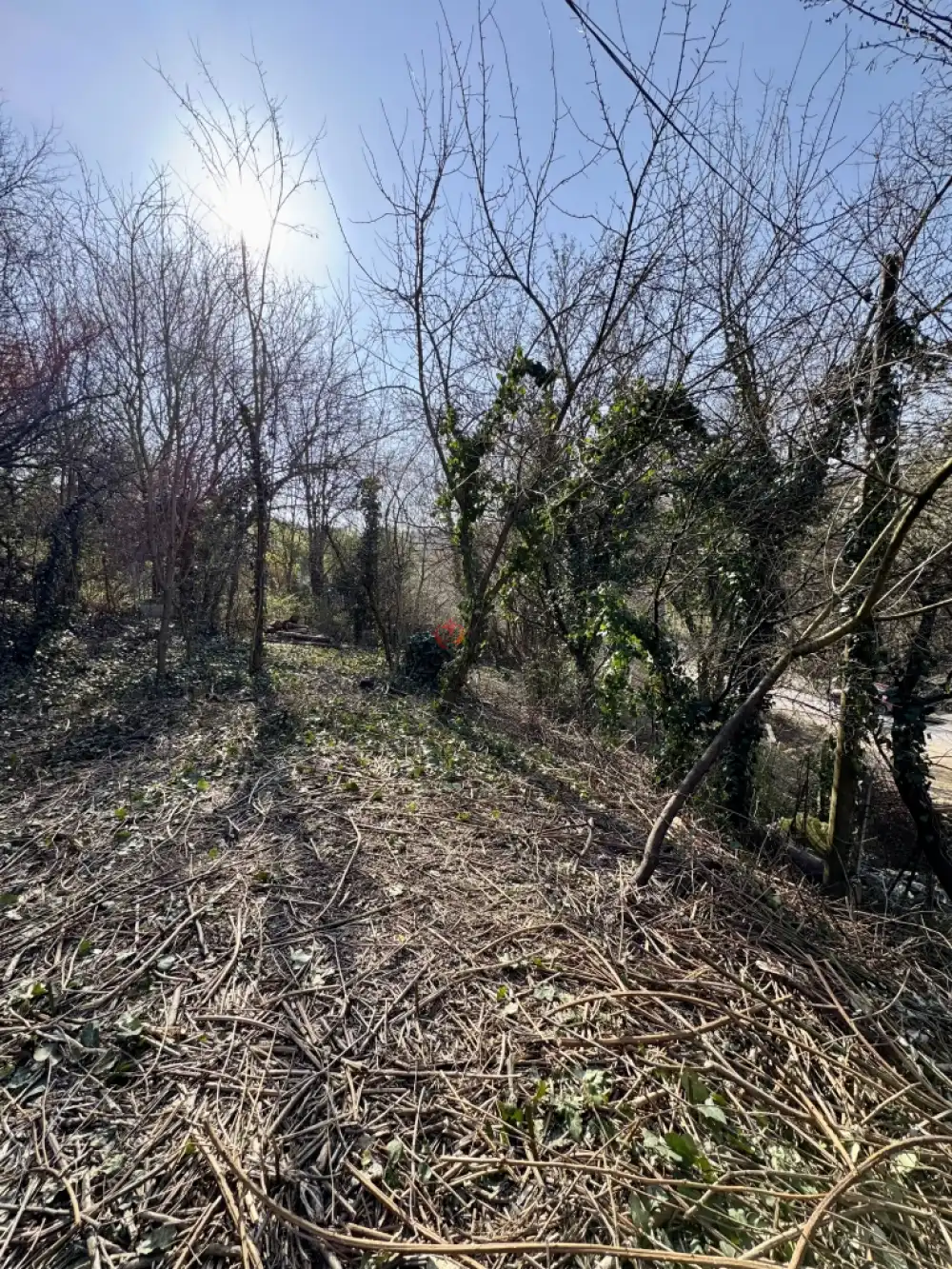 Pest megye - Budaörs