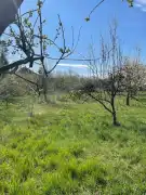 Vas megye - Csákánydoroszló