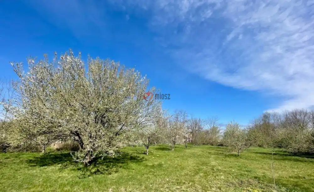 Vas megye - Csákánydoroszló