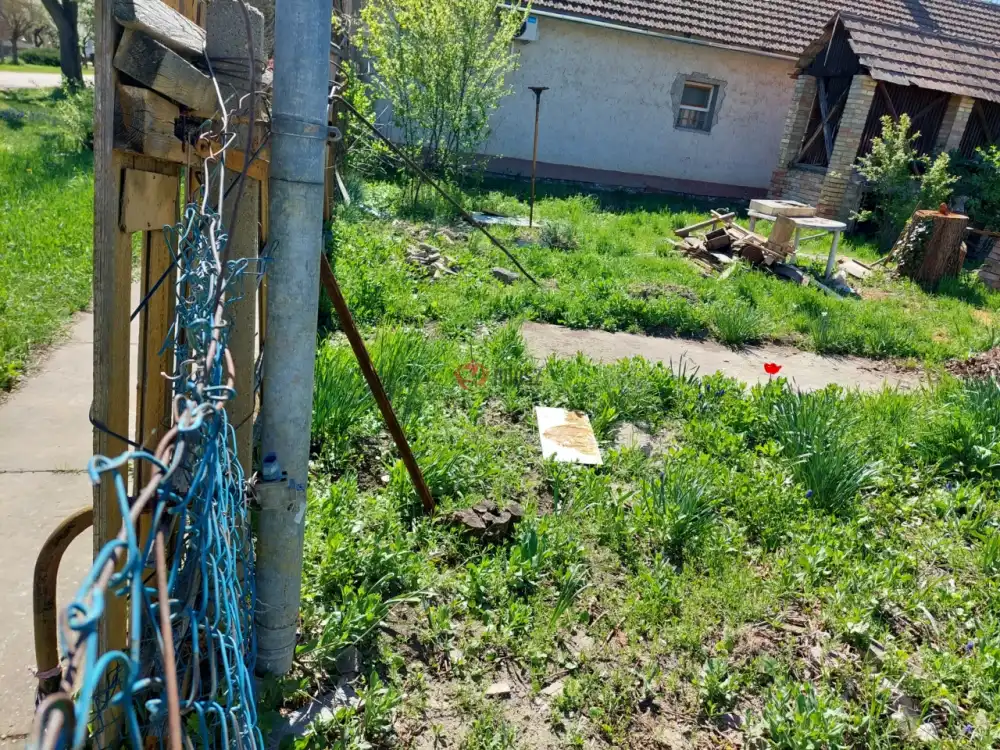 Csongrád megye - Csongrád