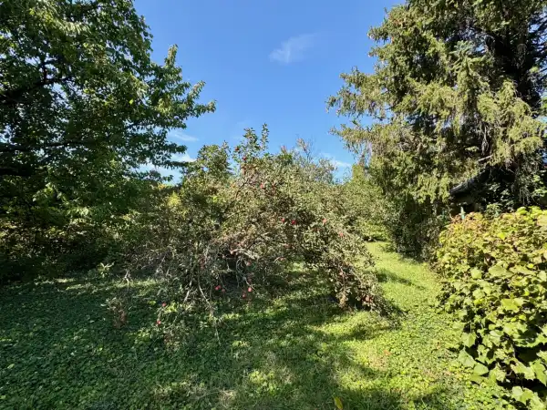 Eladó Építési telek, Diósd 2858 m² 149.9 M Ft