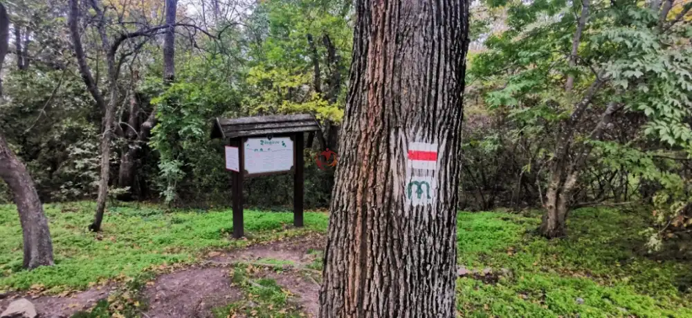 Veszprém megye - Dörgicse