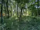 Pest megye - Kismaros