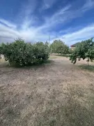 Komárom-Esztergom megye - Komárom