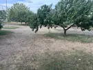 Komárom-Esztergom megye - Komárom