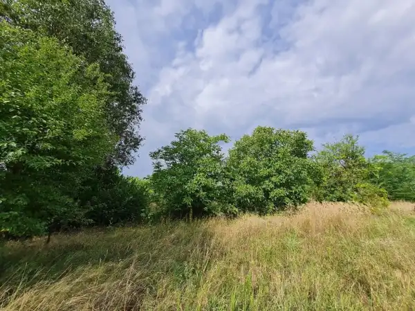 Eladó Építési telek, Maglód 2778 m² 29.9 M Ft