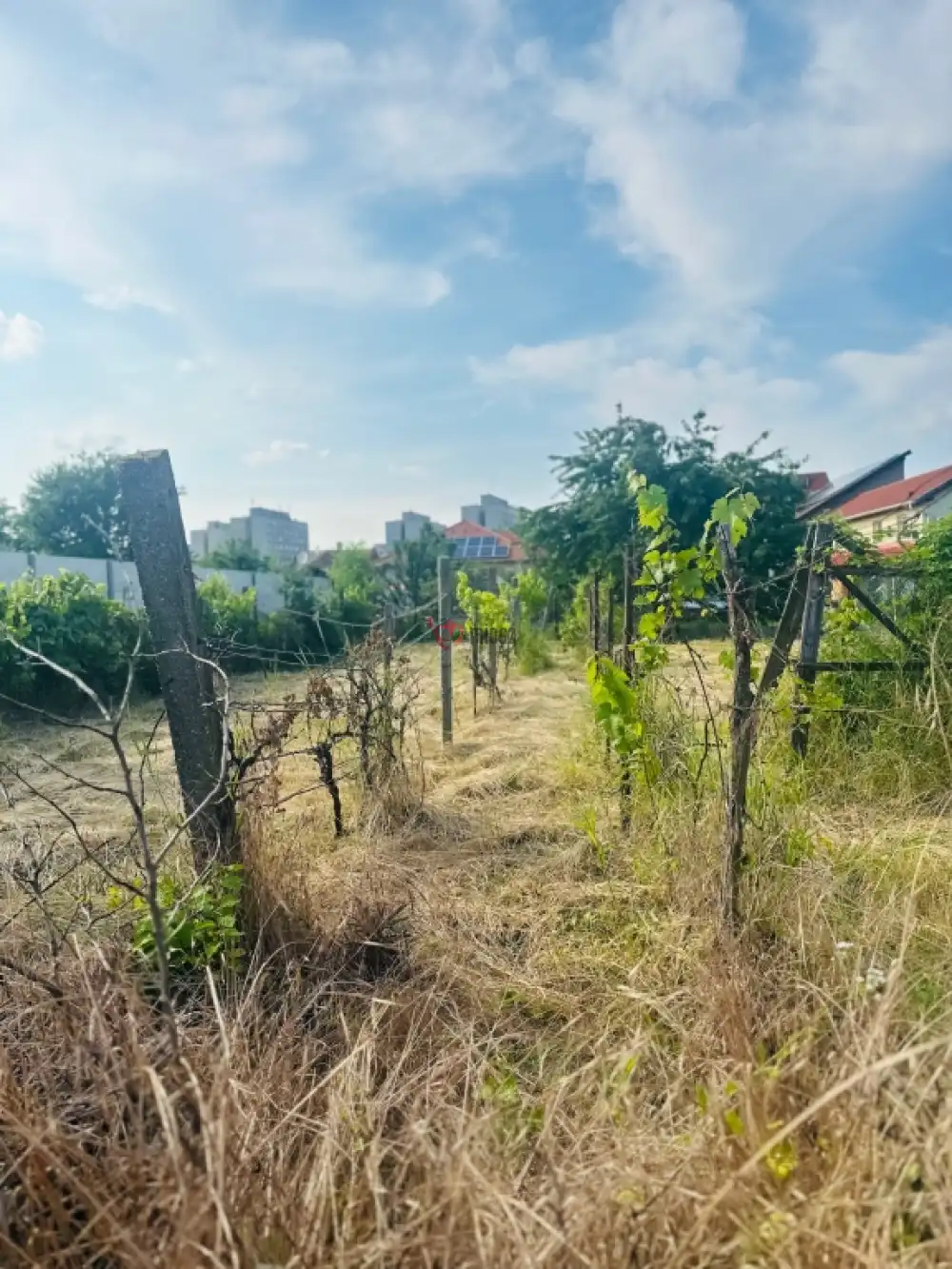 Borsod-Abaúj-Zemplén megye - Miskolc