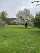 Komárom-Esztergom megye - Neszmély