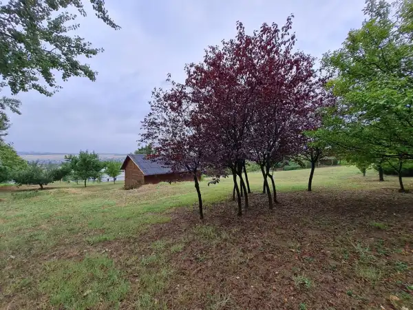 Eladó Építési telek, Pécel 2571 m² 79.99 M Ft