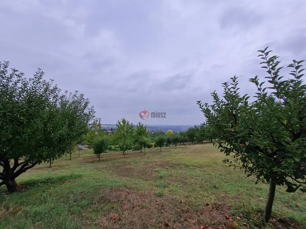 Pest megye - Pécel