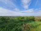 Pest megye - Pécel