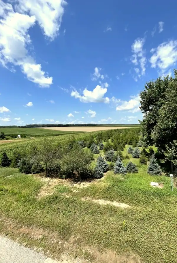 Eladó Építési telek, Rigyác 1831 m² 4.99 M Ft