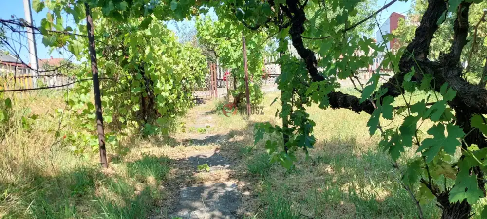 Pest megye - Szigethalom