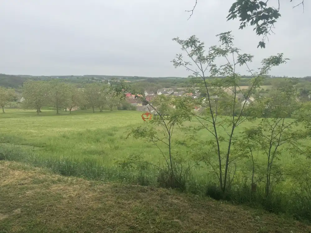 Baranya megye - Szűr