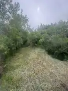 Baranya megye - Szűr