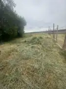 Baranya megye - Szűr