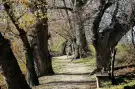 Pest megye - Taksony