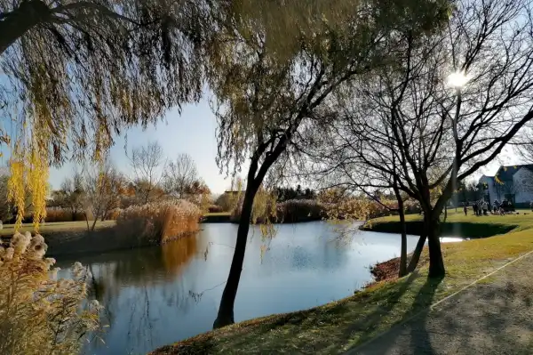 Eladó Építési telek, Taksony 716 m² 40 M Ft